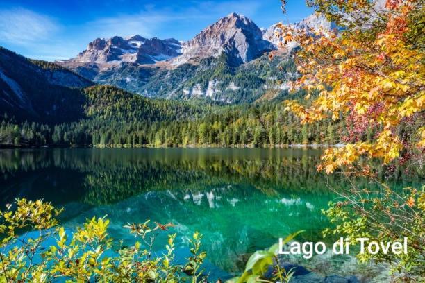 Agritur Casa Al Mulino Appartamenti Санцено Экстерьер фото