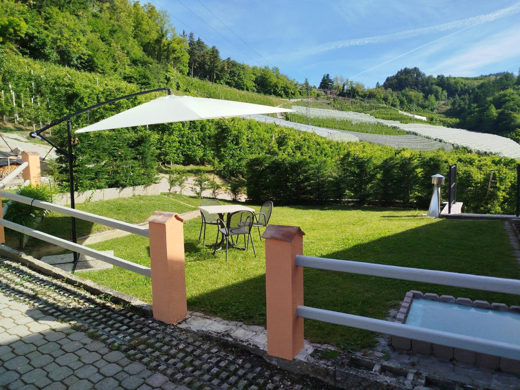 Agritur Casa Al Mulino Appartamenti Санцено Экстерьер фото